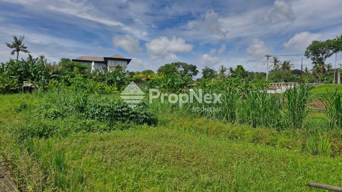 Tanah Jl. Prof Ida Bagus Mantra Bali - Nego Tipis